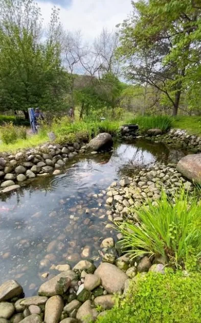 A clear stream bordered by rocks and green foliage in a lush park with trees and a walking path.