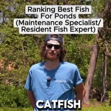 A man with long hair and a beard wearing sunglasses and a blue T-shirt standing outdoors with trees in the background. Text on the image says, "Ranking Best Fish For Ponds (Maintenance Specialist/Resident Fish Expert)" and "CATFISH."