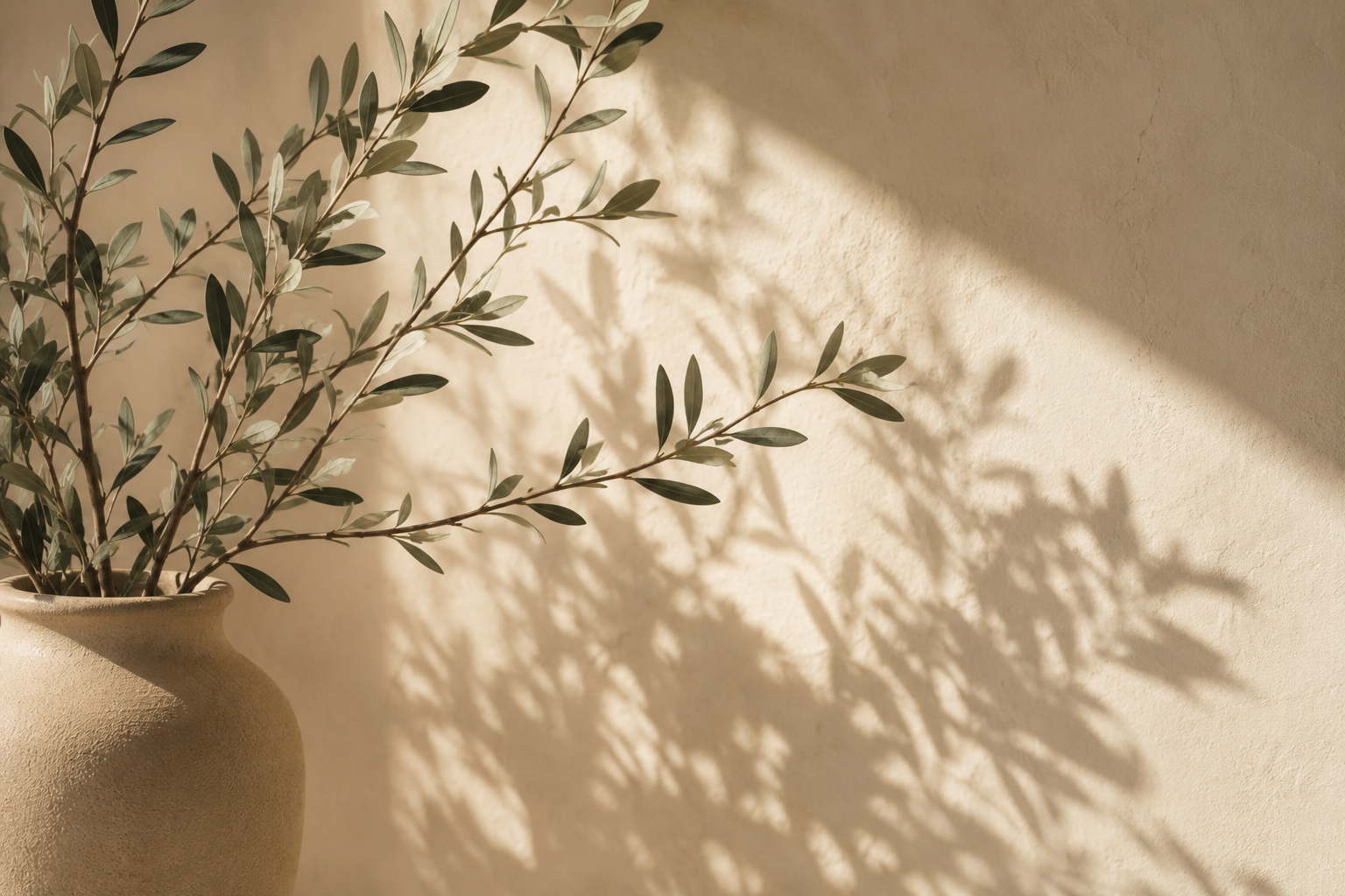 A beige vase with olive branch leaves casting shadows on a beige wall.