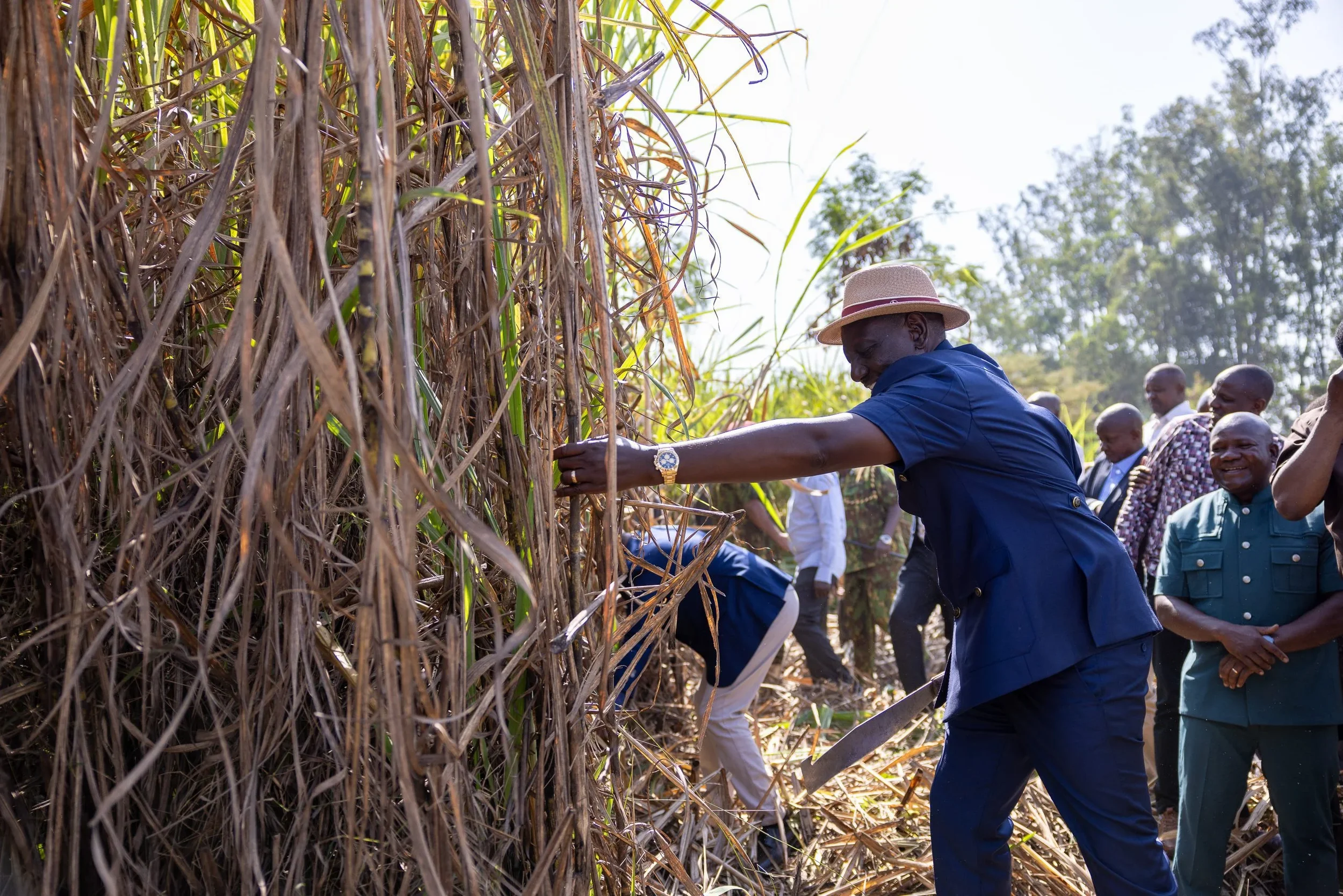 Western Kenya Leaders Must Demand More for Sugarcane Farmers