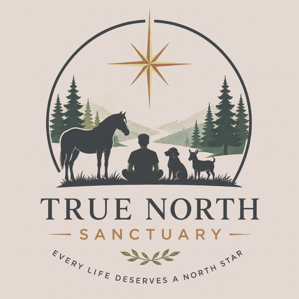 True North Sanctuary 