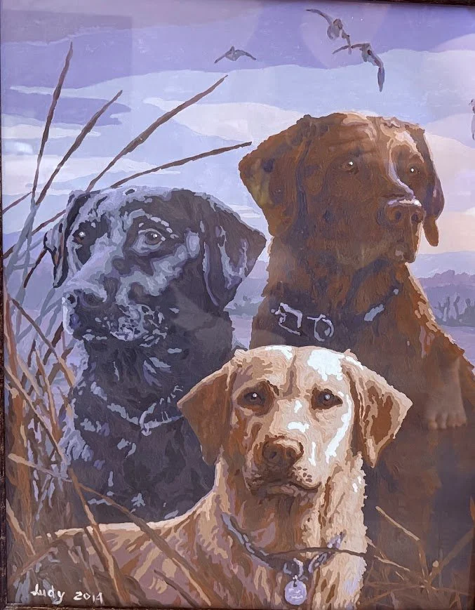 Silent Watchers at Dusk