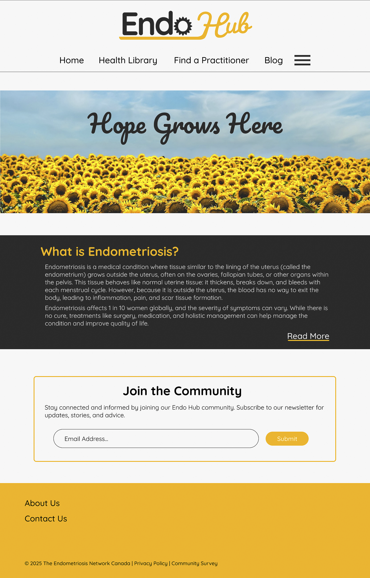 Endo Hub Website.png