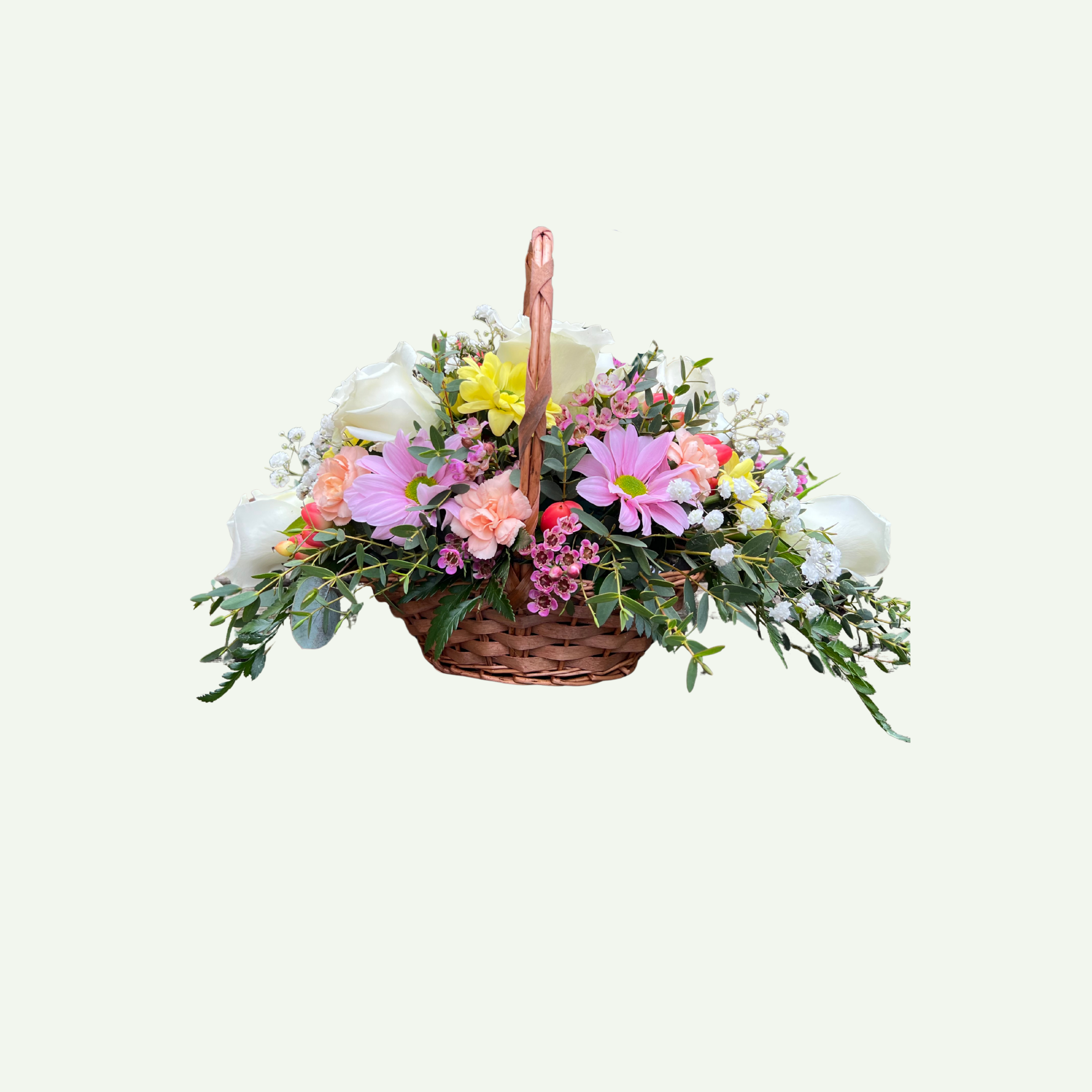 Coming Soon (10).png (Copy)