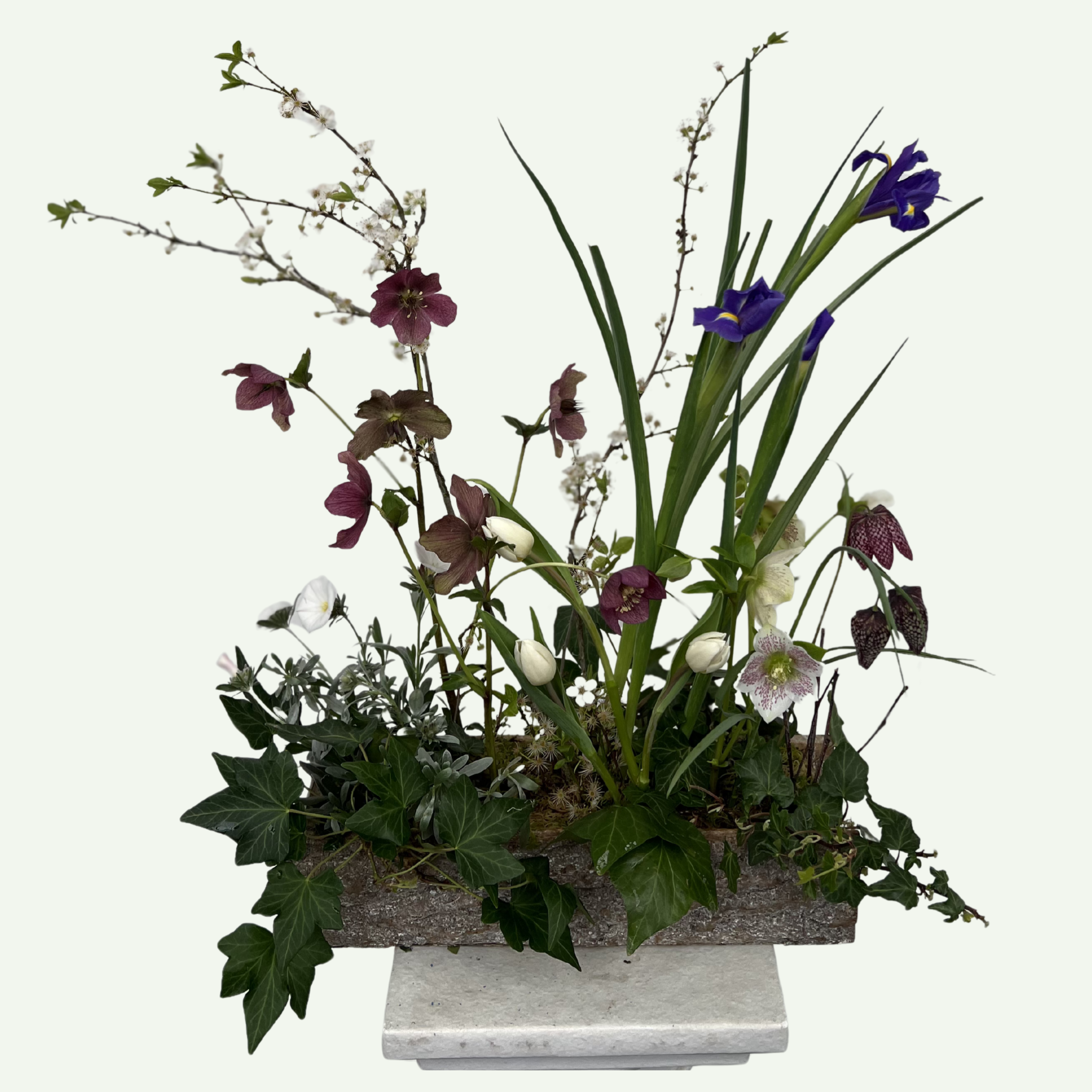 Premium Arrangement Monthly Subscription