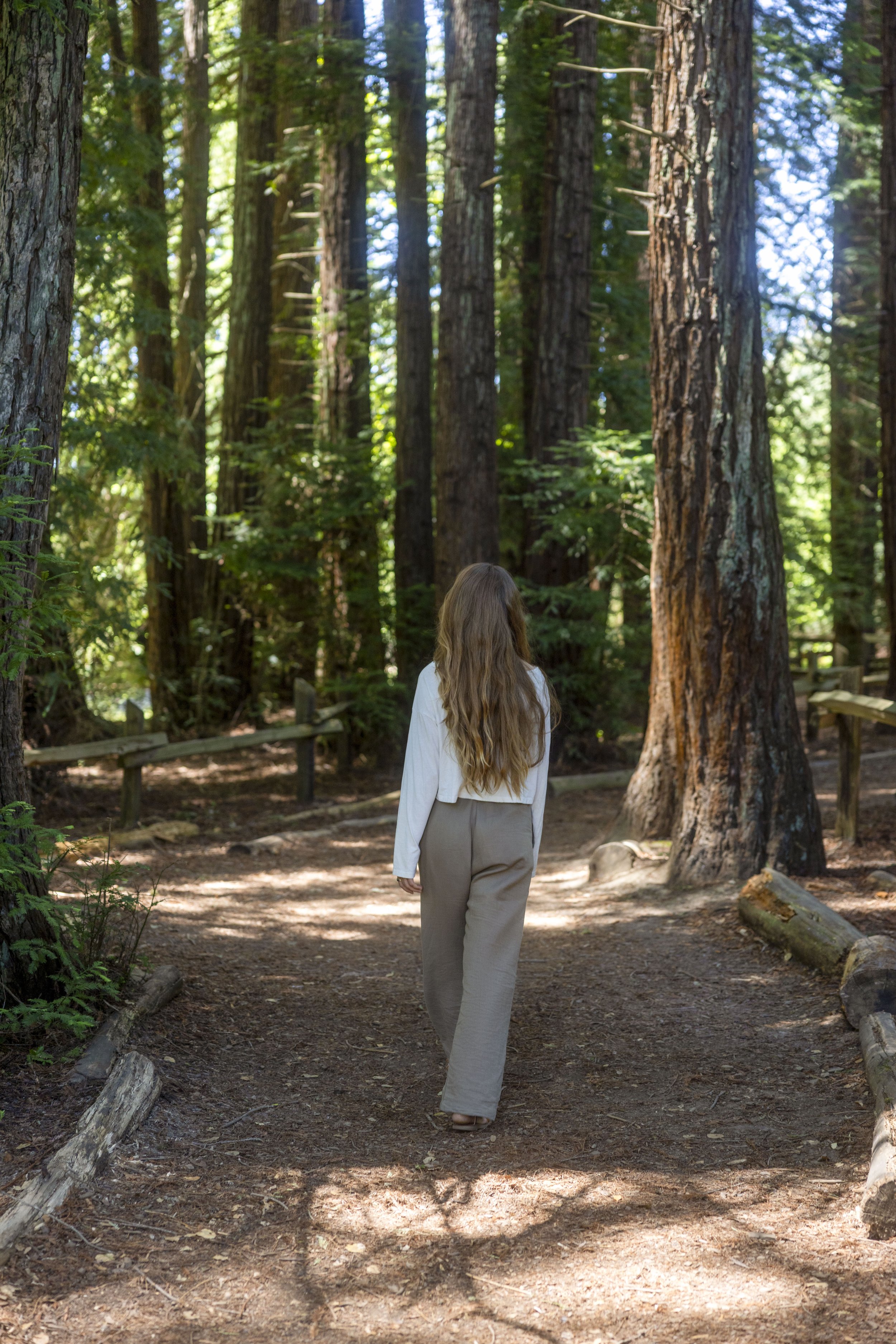 A woman walking along a forest path among tall redwoods