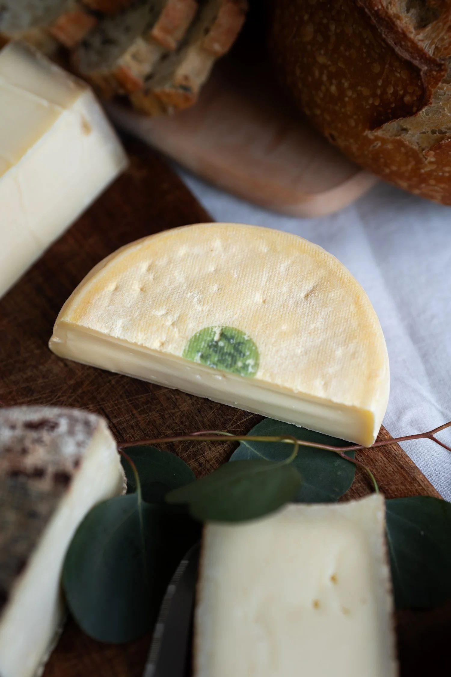 Assortiment de fromages variés, dont un fromage à pâte dure avec un cercle vert au centre, décoré avec des feuilles vert foncé.