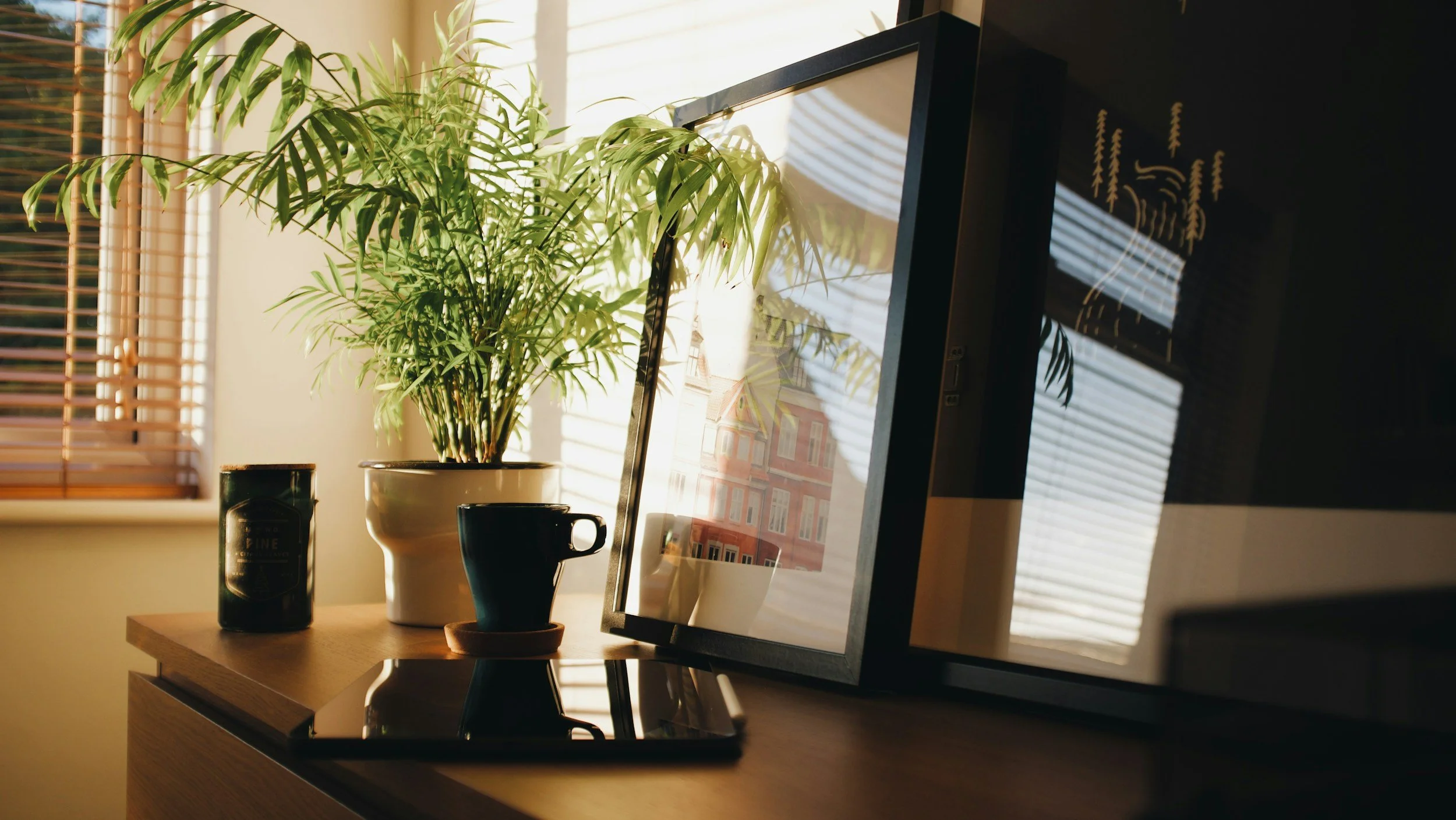 A plant in a pot, a cup, and a framed picture on a wooden table next to a window with blinds, with sunlight reflecting off the screen.