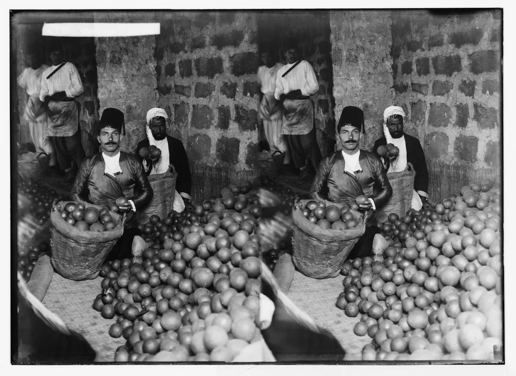 A vintage black and white photo of men selling oranges in an indoor market with a stone wall background. Some men are holding oranges, and others are standing among large piles of oranges in baskets.