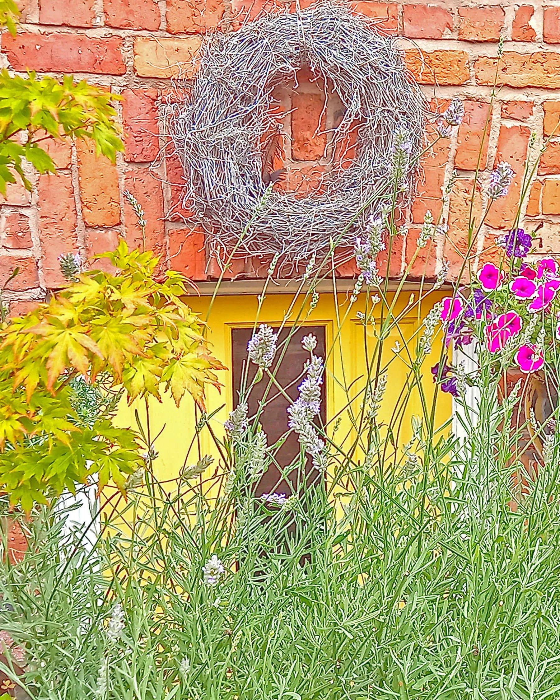Nest Clinic , Acupuncture, Reflexology, Fertility Treatment