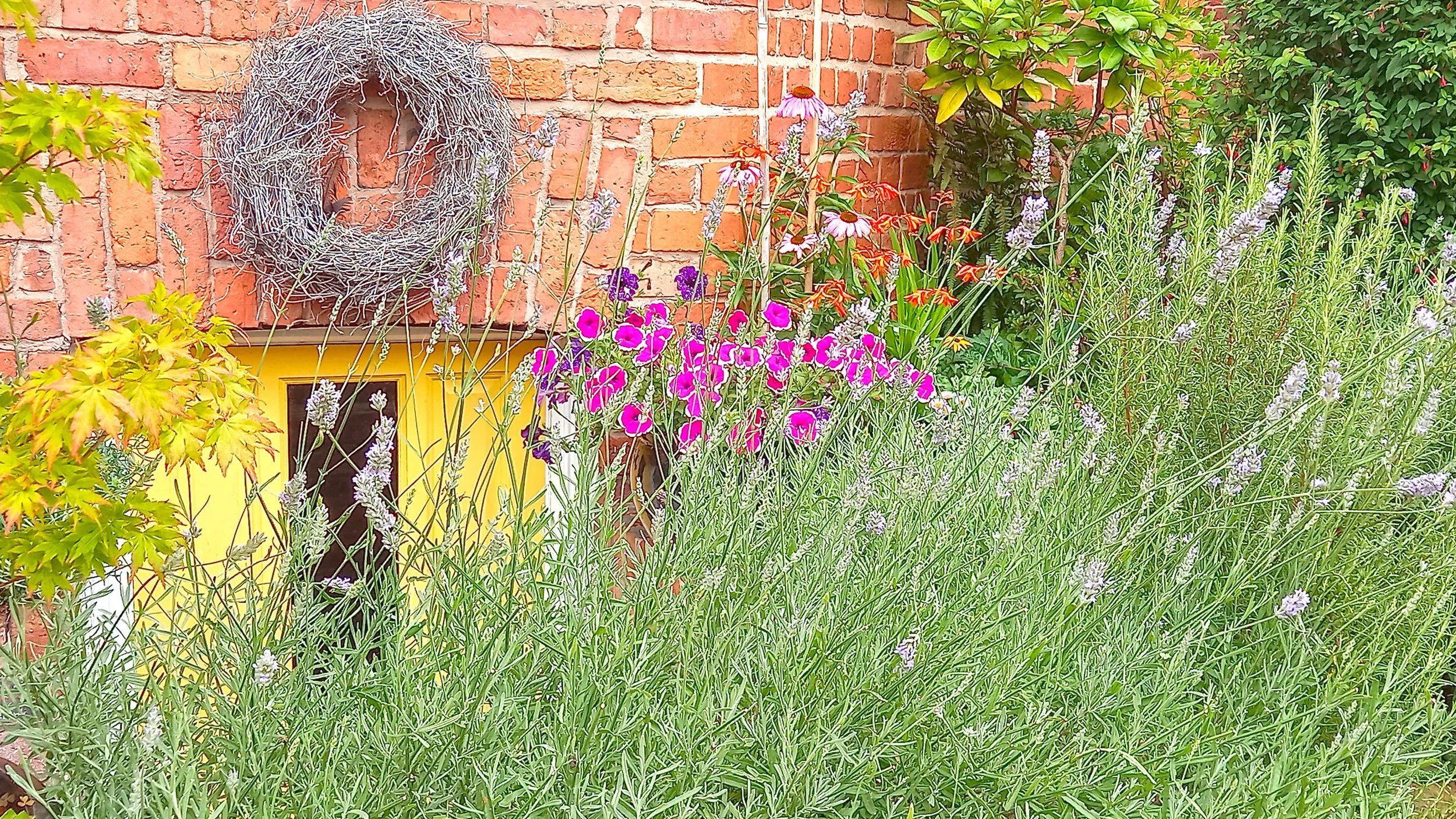 Nest Clinic , Acupuncture, Reflexology, Fertility Treatment