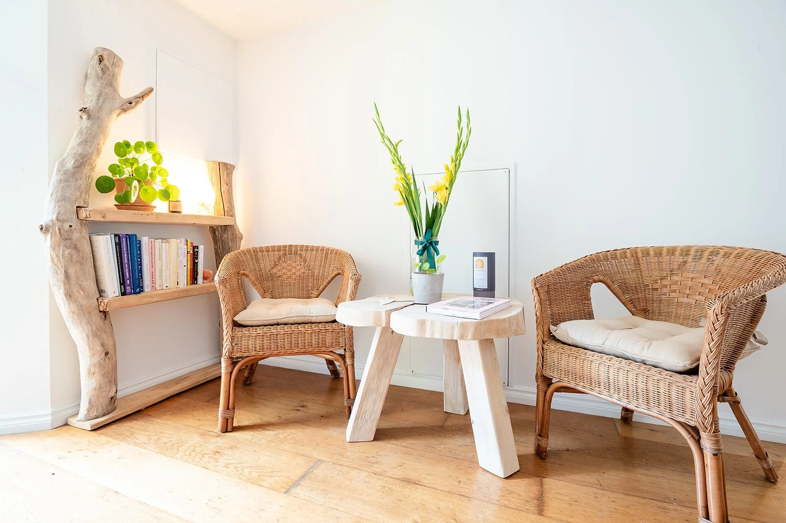 Nest Clinic Acupuncture