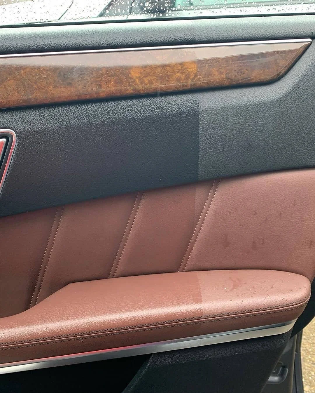 Interior Trim Conditioning & UV Protection