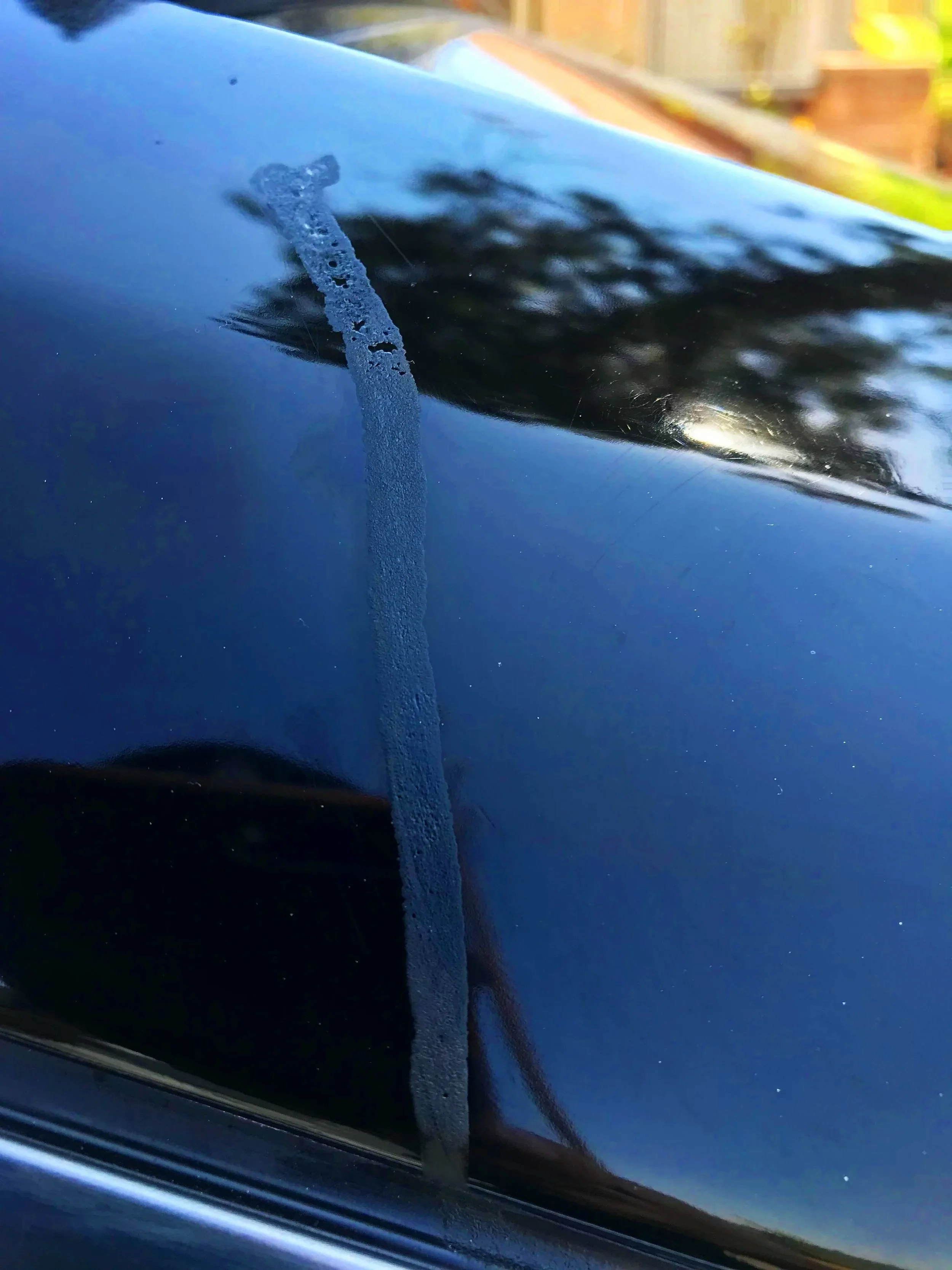 Tree sap removal