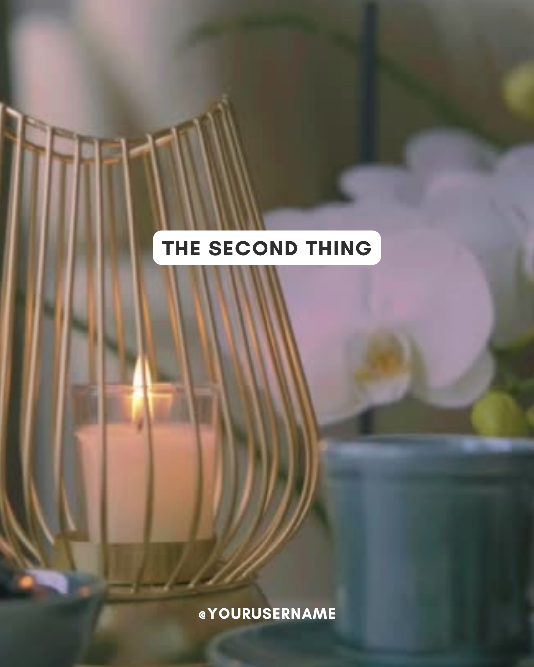 5 Things (3).png