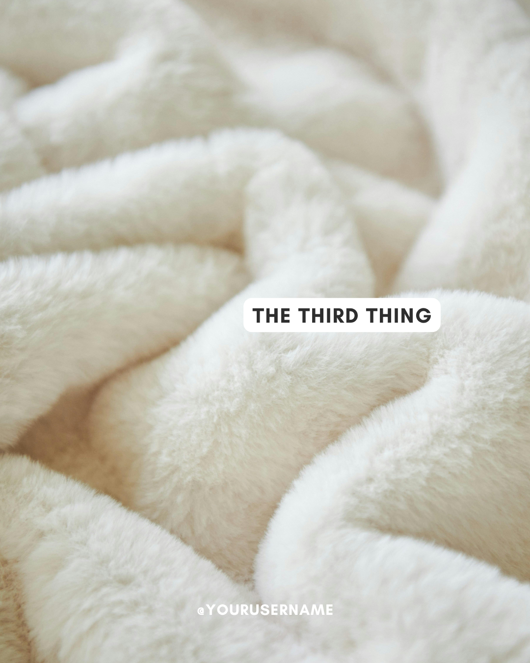 5 Things (4).png