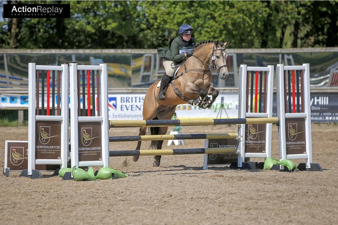 Barrowby Thunder Rebel - Connemara stallion