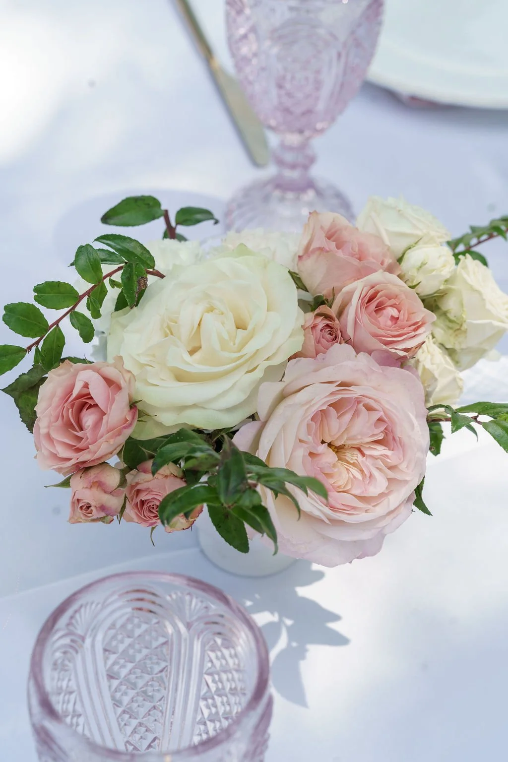 Lety Dozen Roses