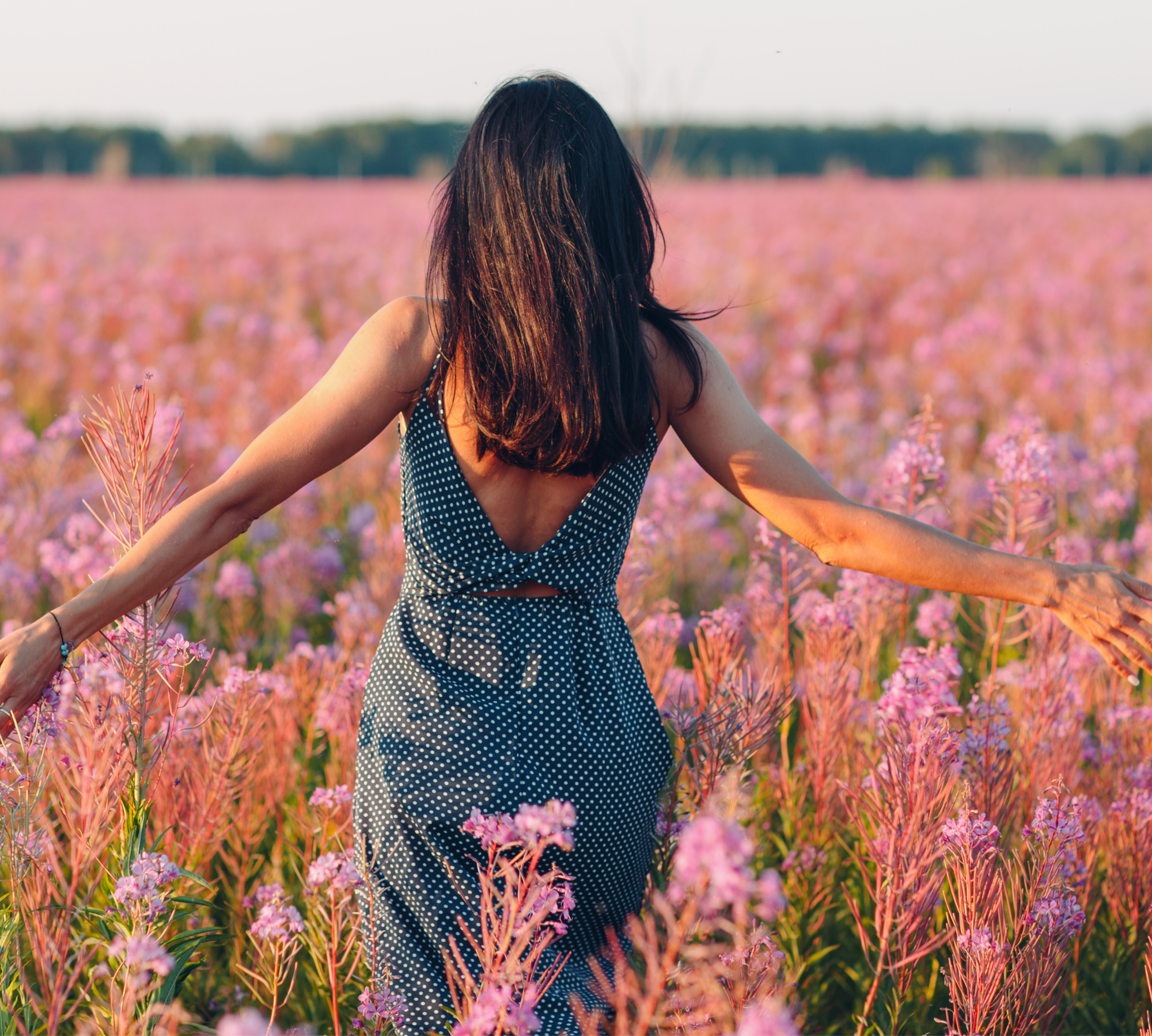 A woman with long dark hair in a blue polka dot dress standing in a field of pink flowers with trees in the background.