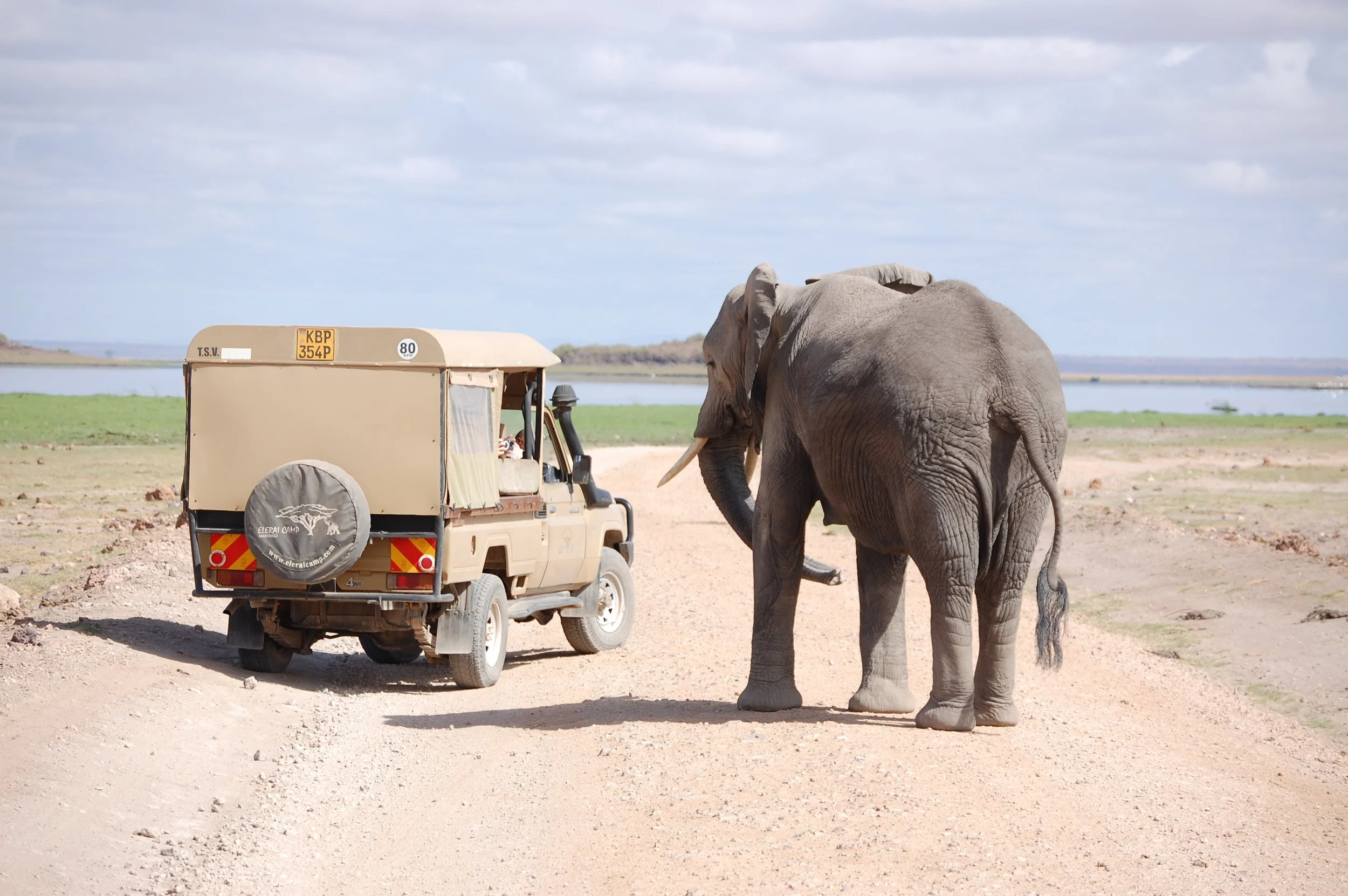 An elephant standing near a safari vehicle on a dirt path with a river and distant landscape in the background.