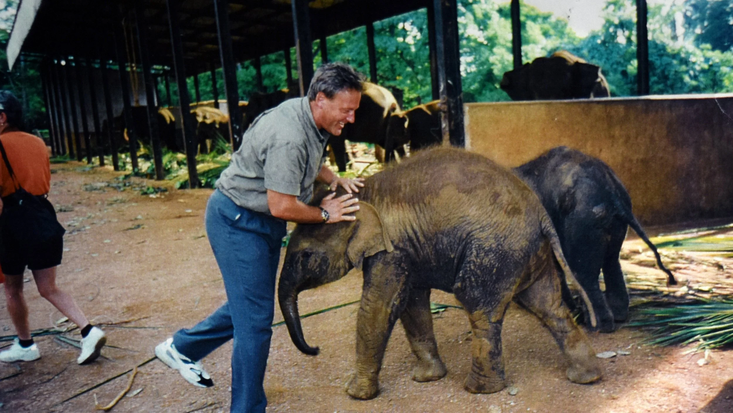 RandallwElephants.jpg
