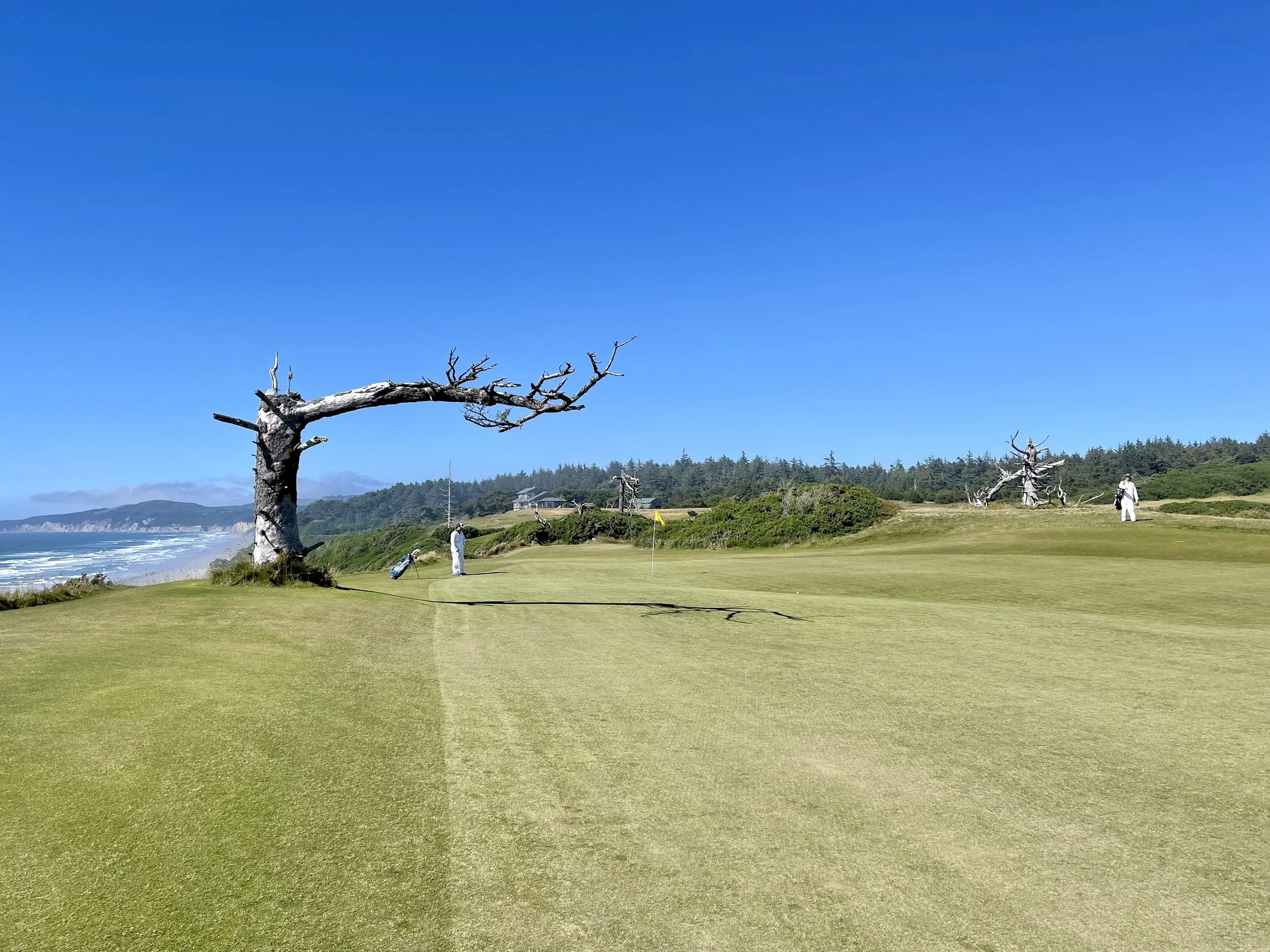 Bandon Dunes, Planned Properly: Seven Rounds in Four Days