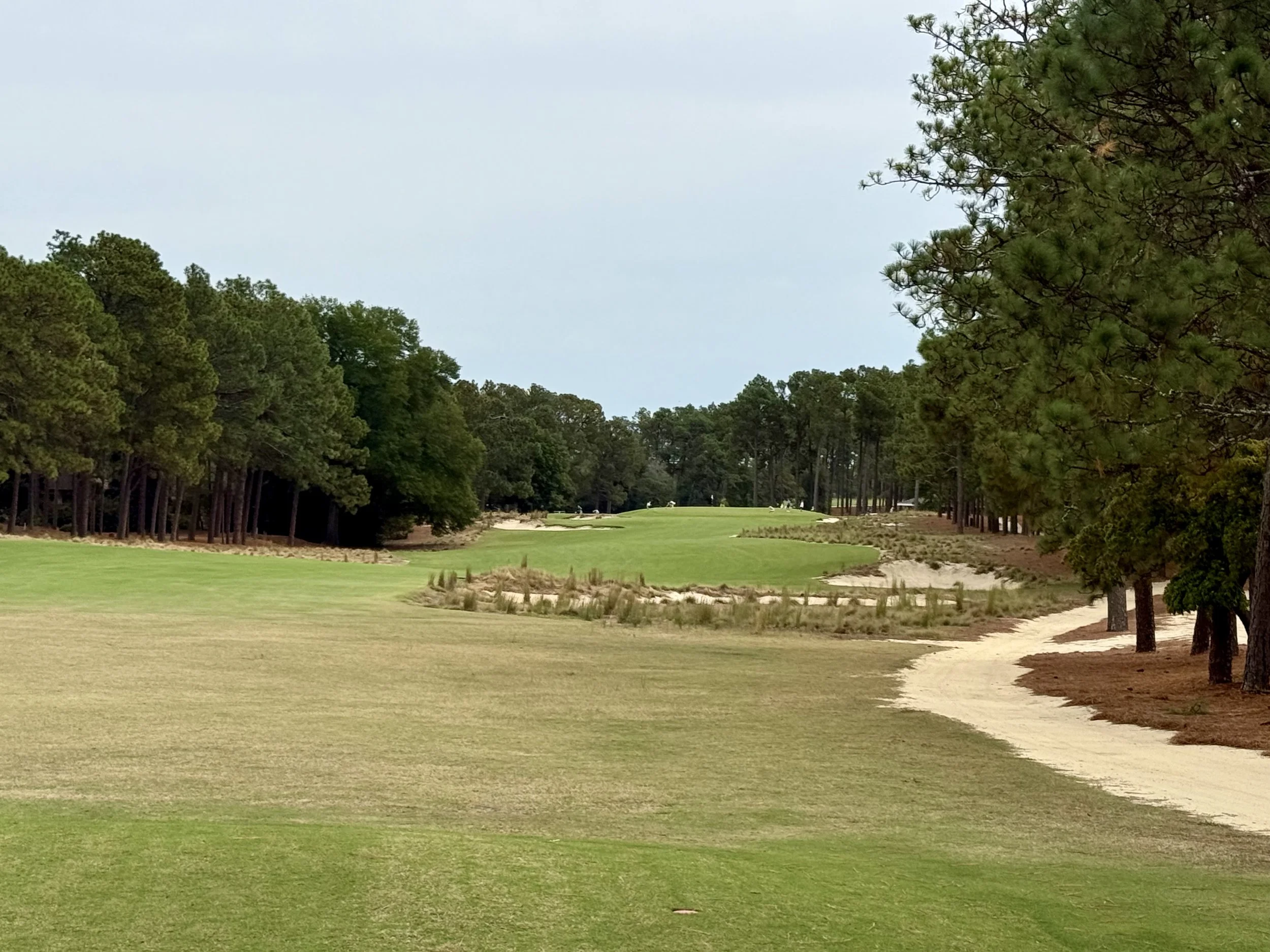 Planning a Pinehurst Golf Trip: Seven Courses, Four Days, and What I'd Do Differently