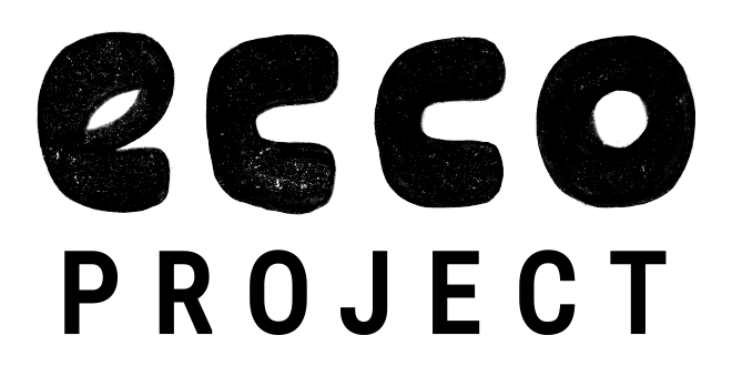 the ecco/project