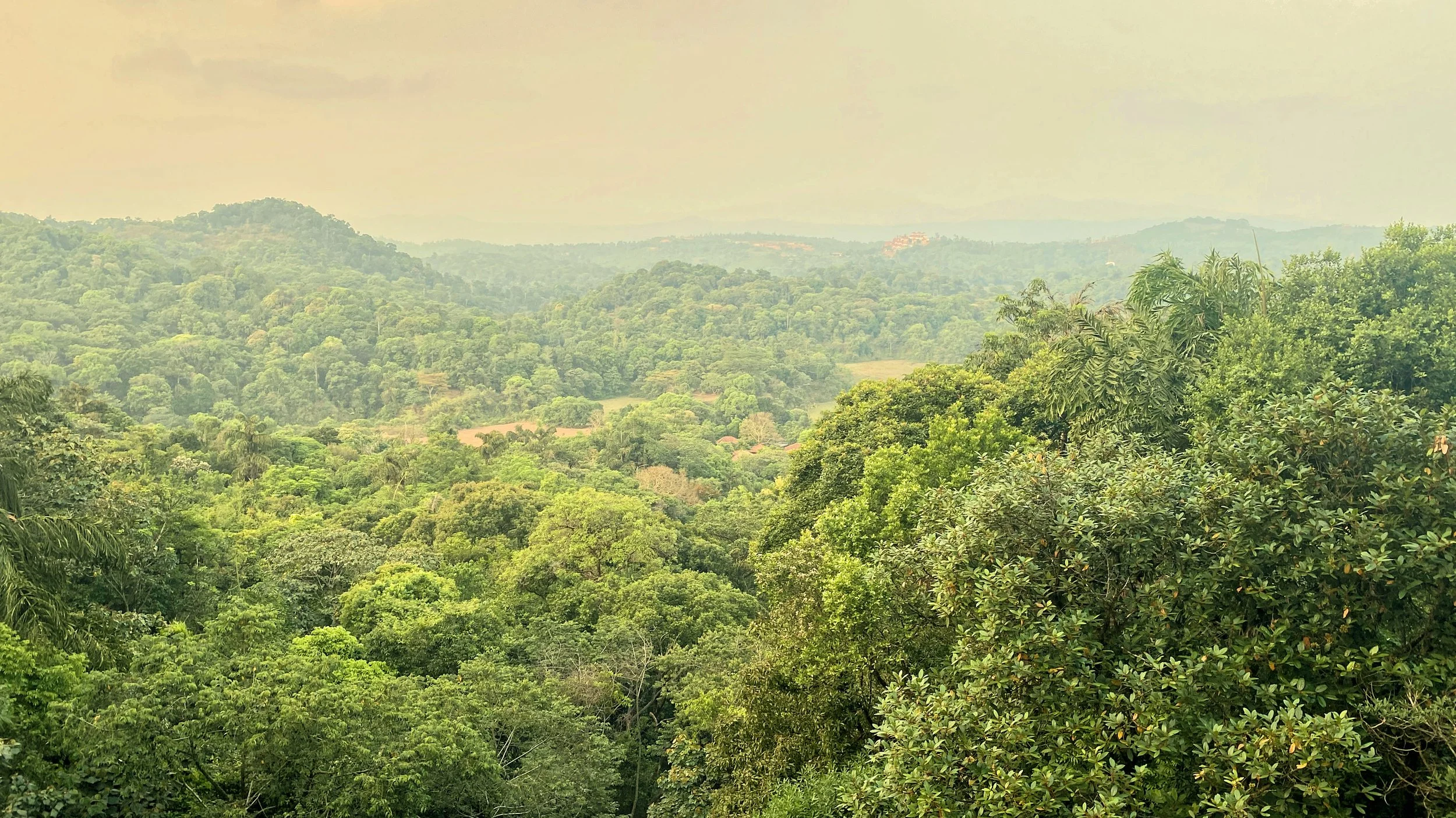 Verdant Rolling Hills