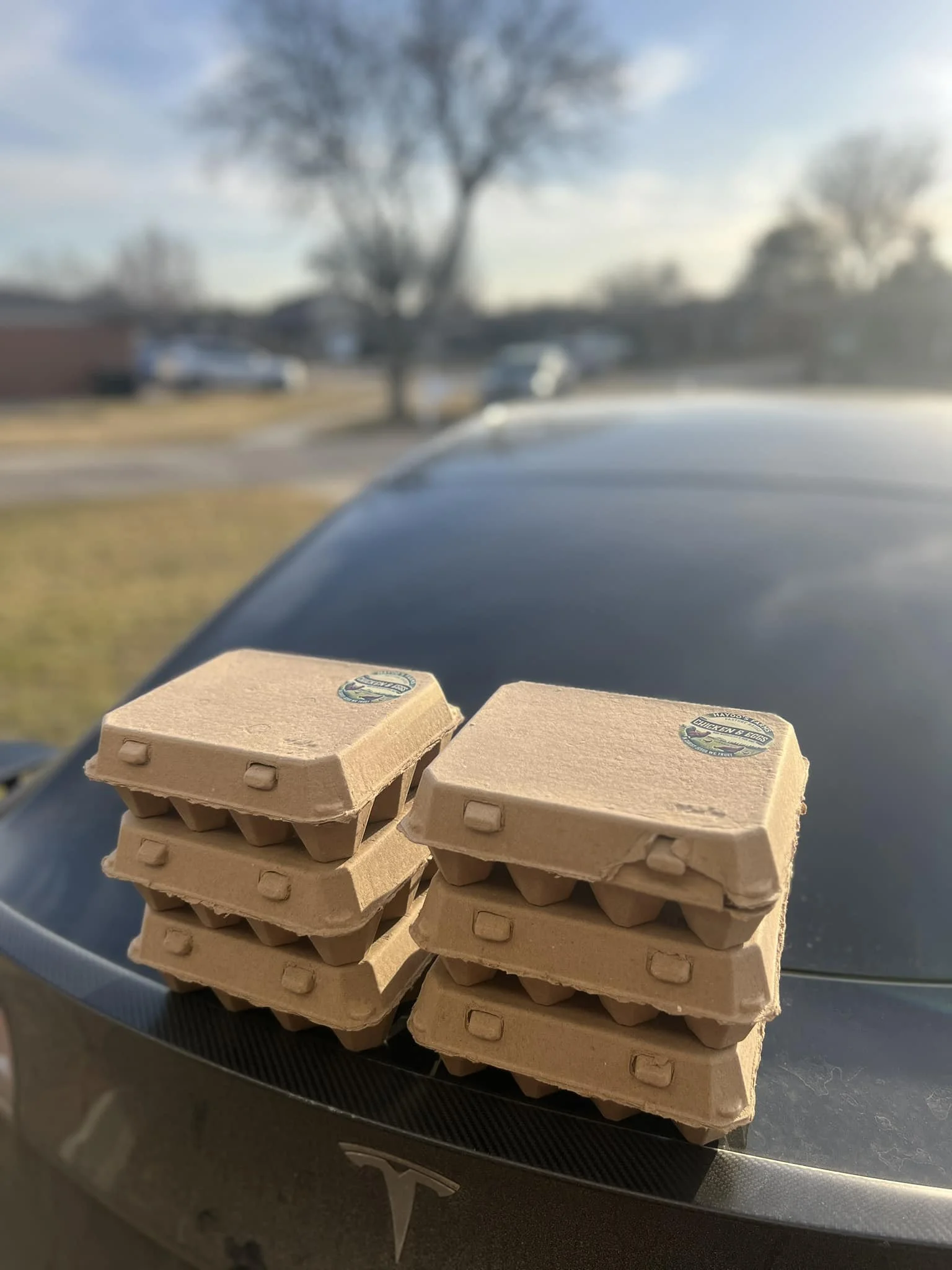Egg delivery day, fresh cartons packed up and headed to their new home.