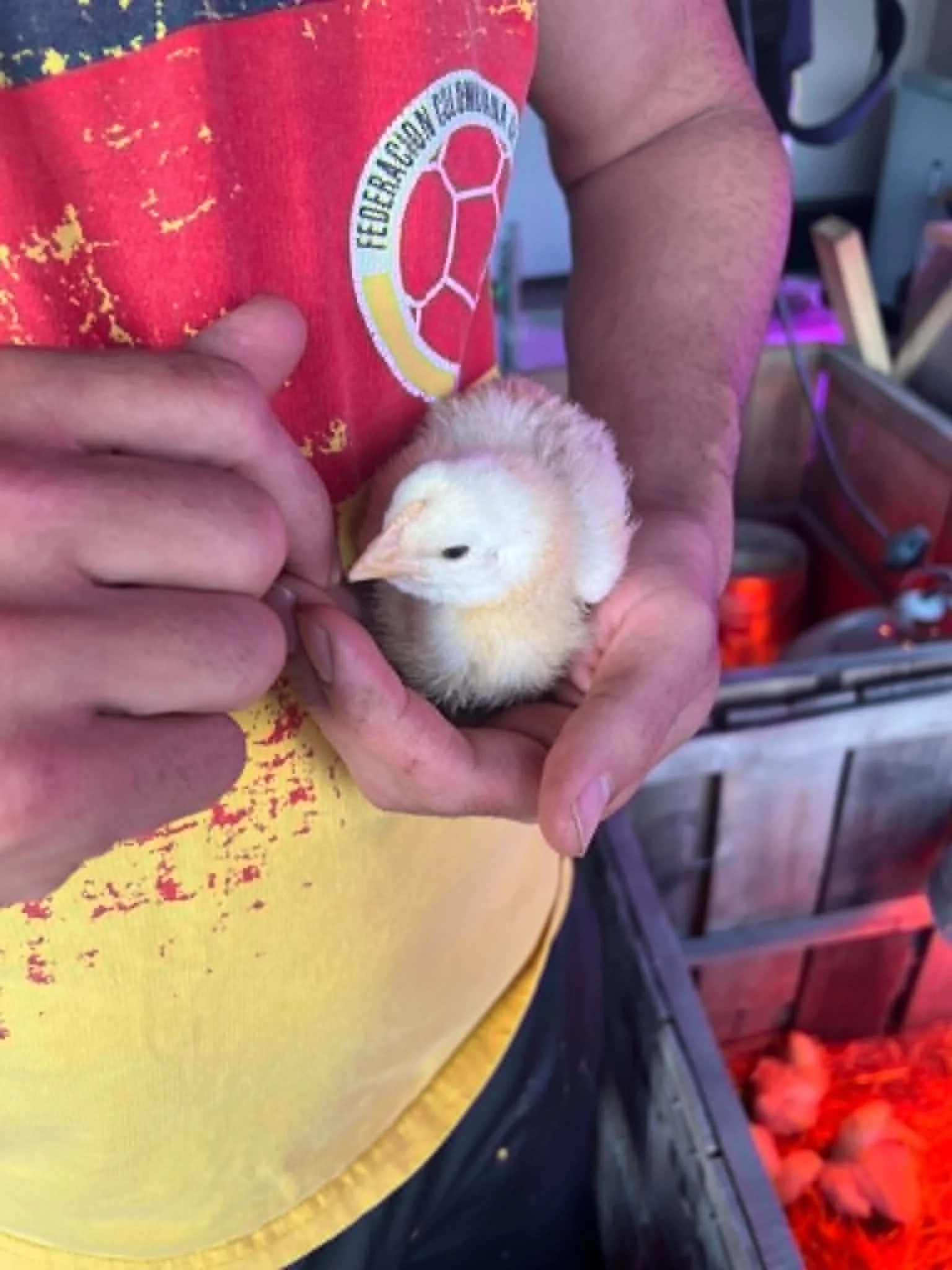 A quick health check on one of the little ones.