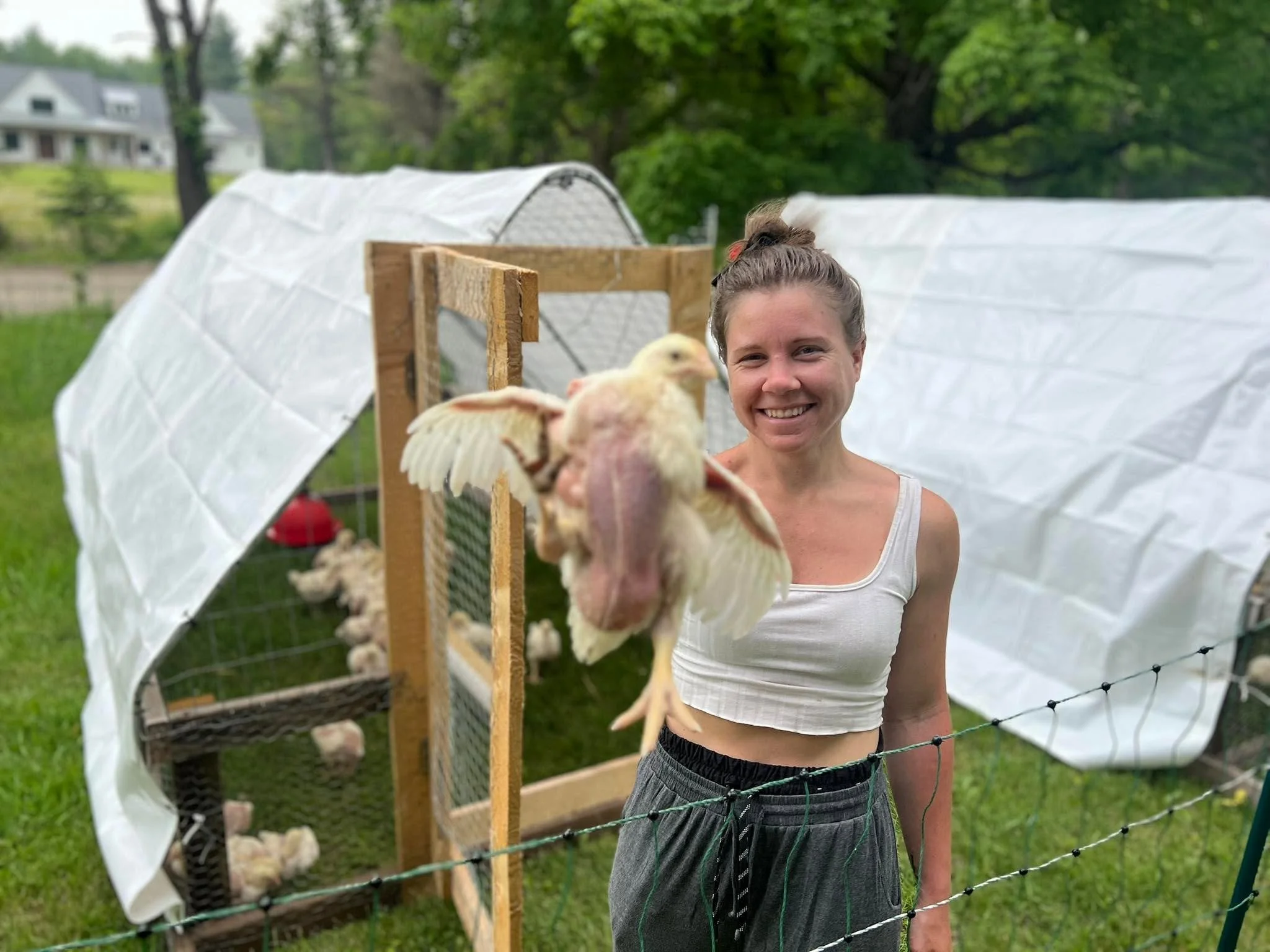 Paige making friends with one of the birds, whether the bird agreed to it or not. 😂🐔