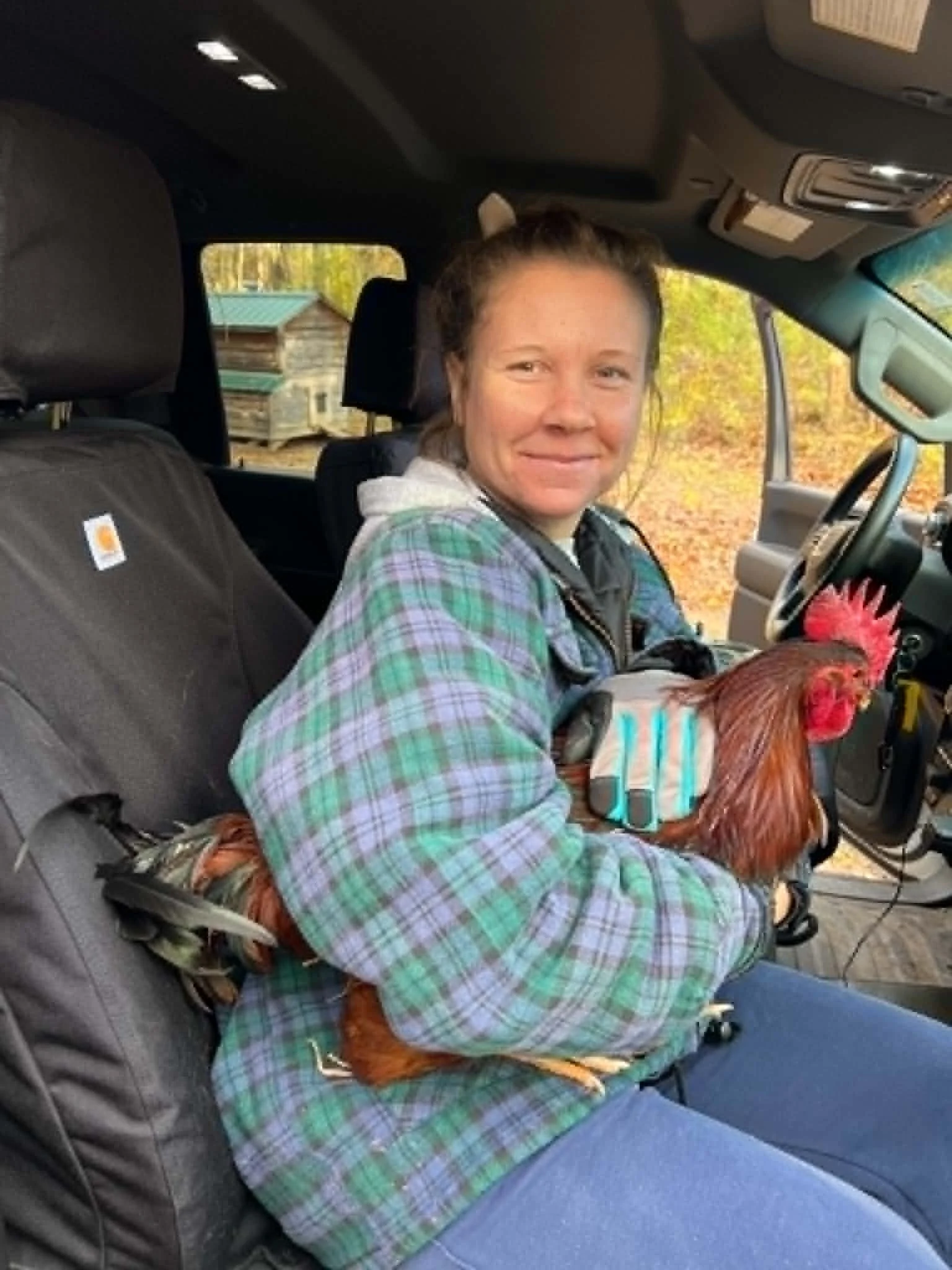 Paige with one of our roosters, apparently he called shotgun.