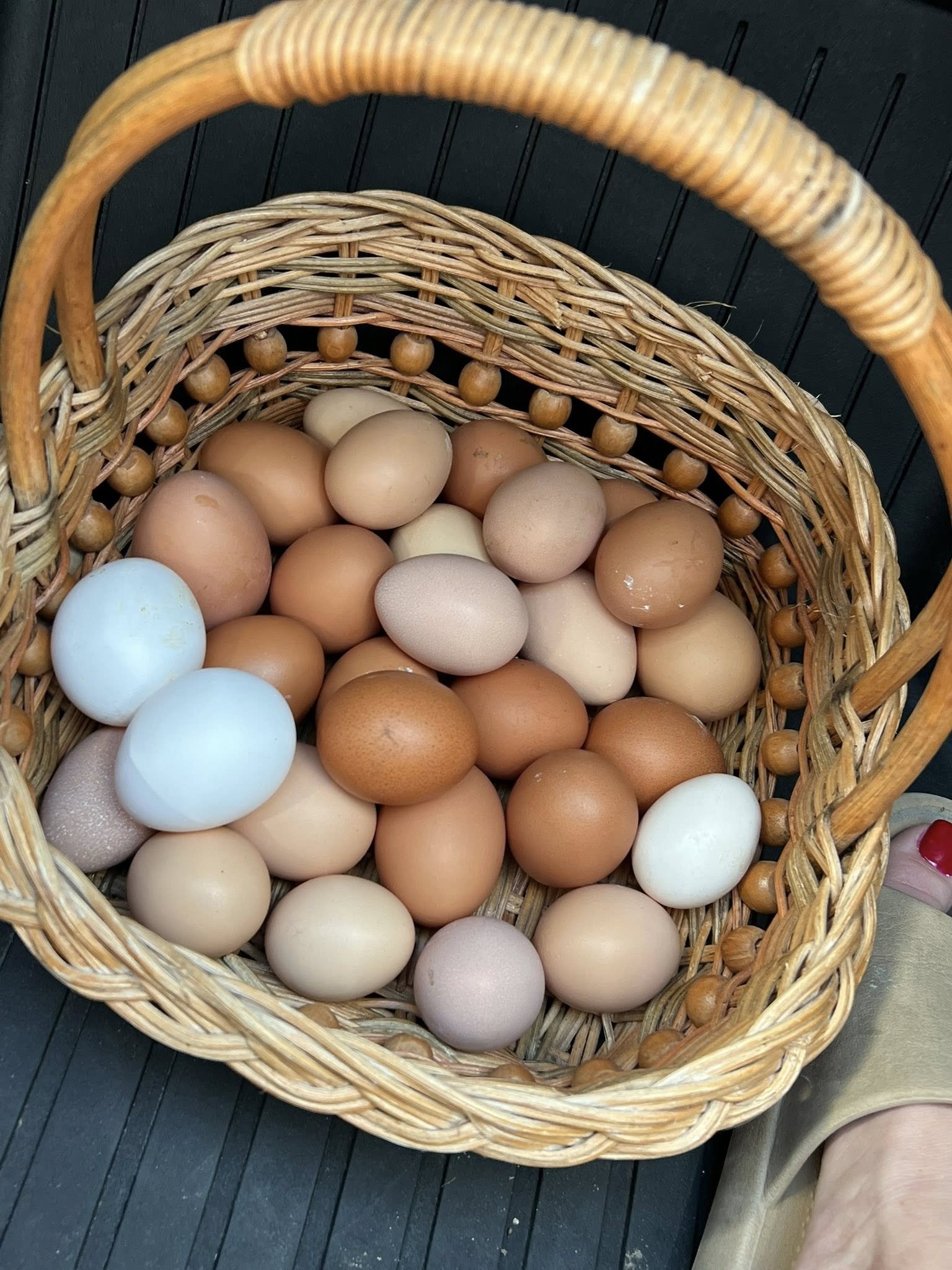 Today’s collection, straight from the nesting boxes and into the basket.