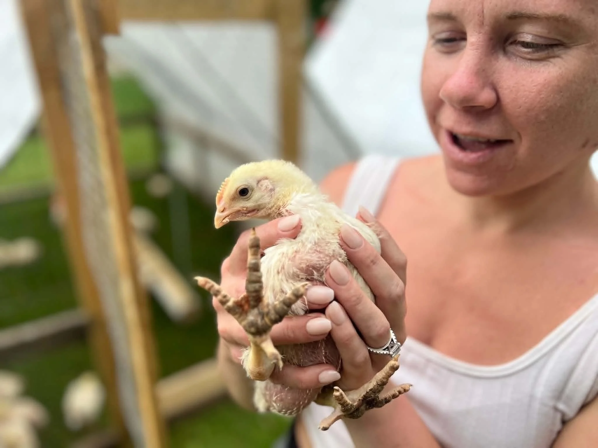 Paige holding one of our chicks, back when they could still fit in one hand....kinda