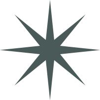 A dark star-shaped symbol with multiple points radiating outward.