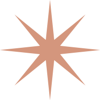 A stylized, eight-pointed starburst shape in brown color on a black background.