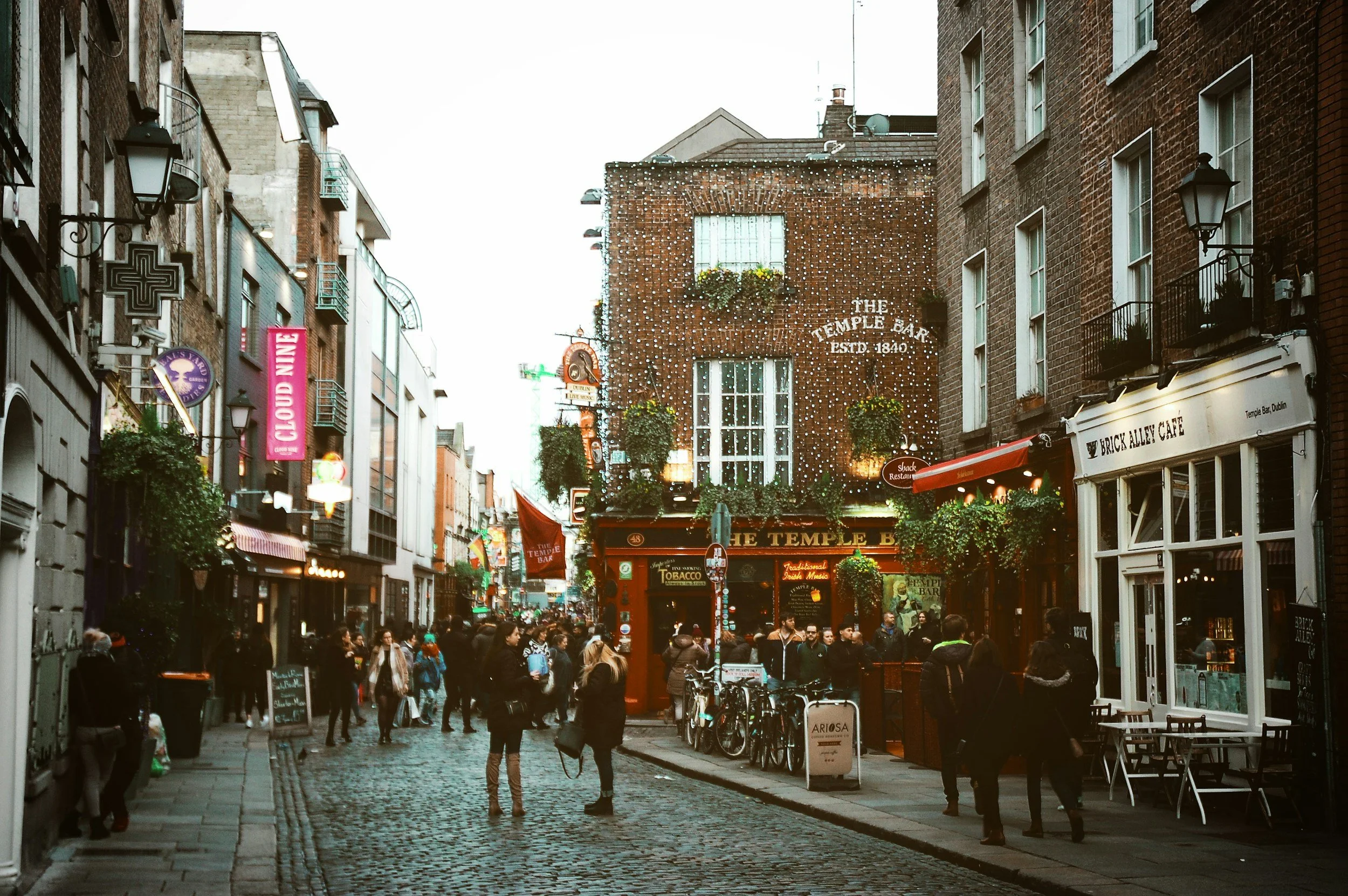 AI Search in Ireland 2027 