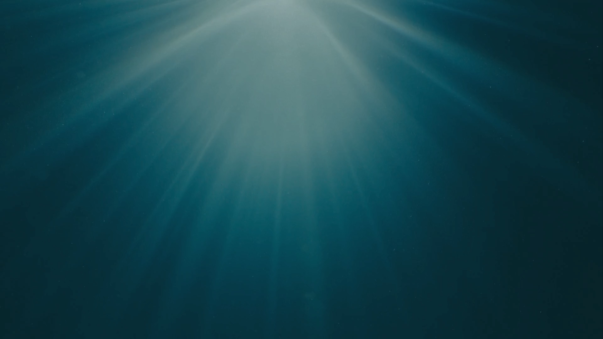 Stillpoint Light Photo.png