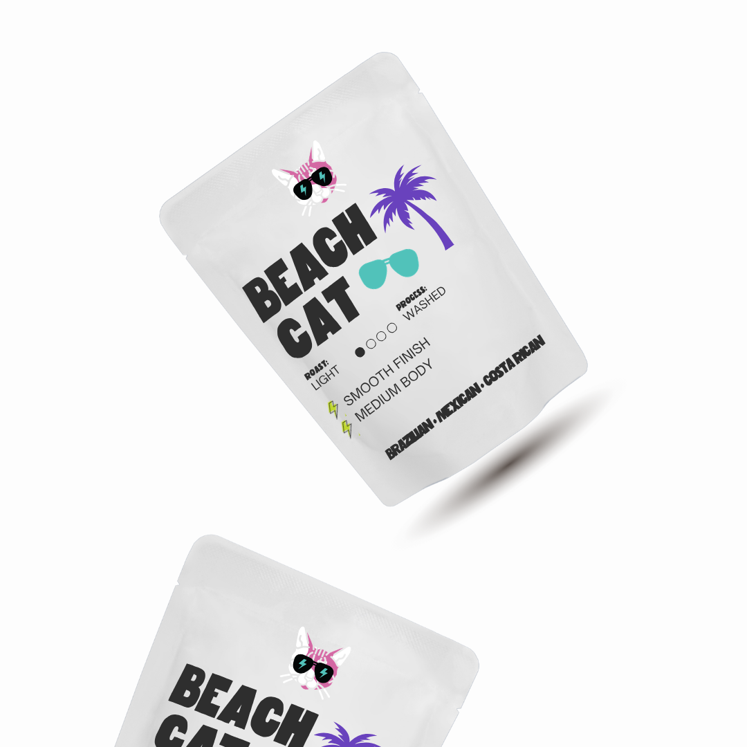 Beach Cat