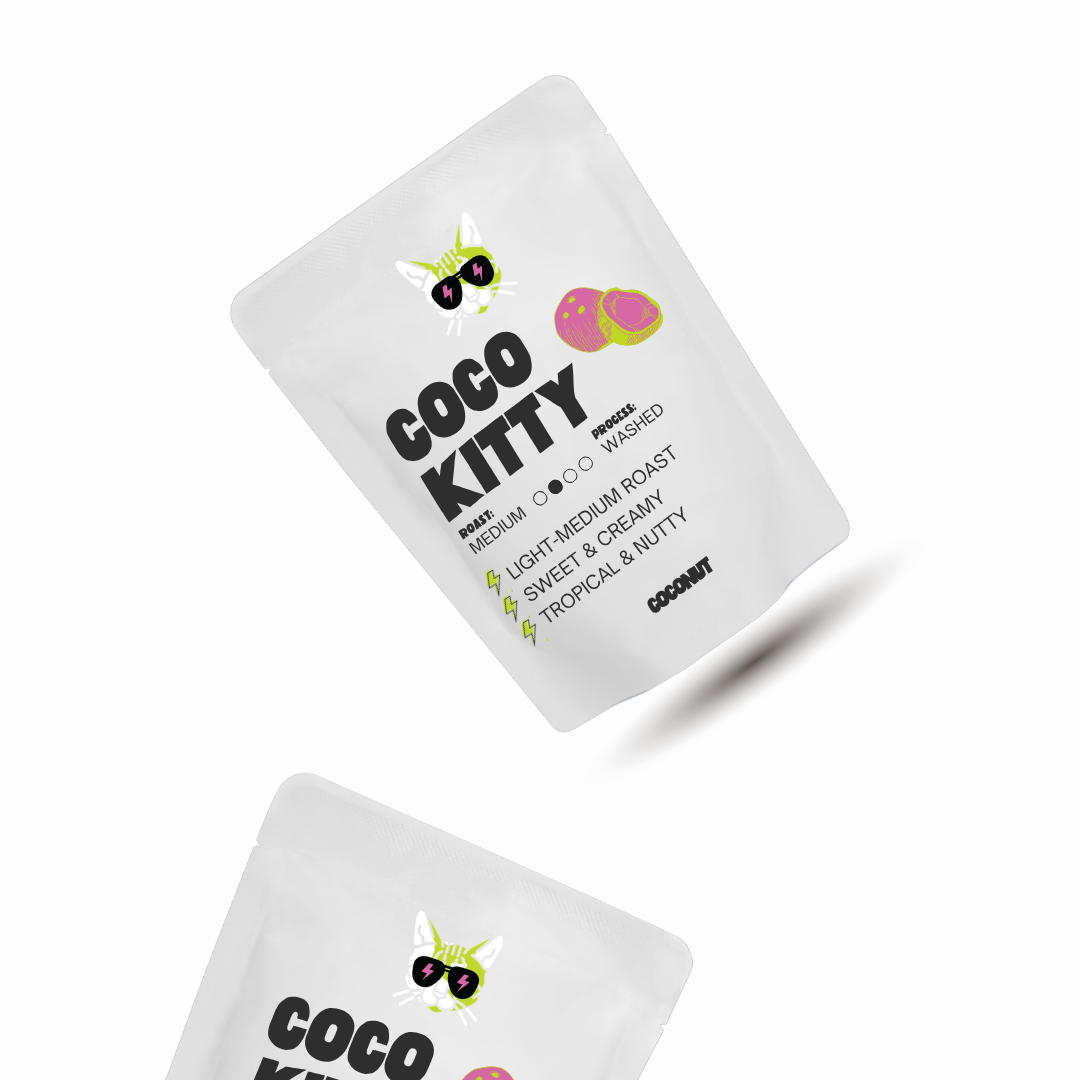 Coco Kitty