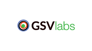 GSVLabs.png