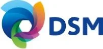 DSM.jpg