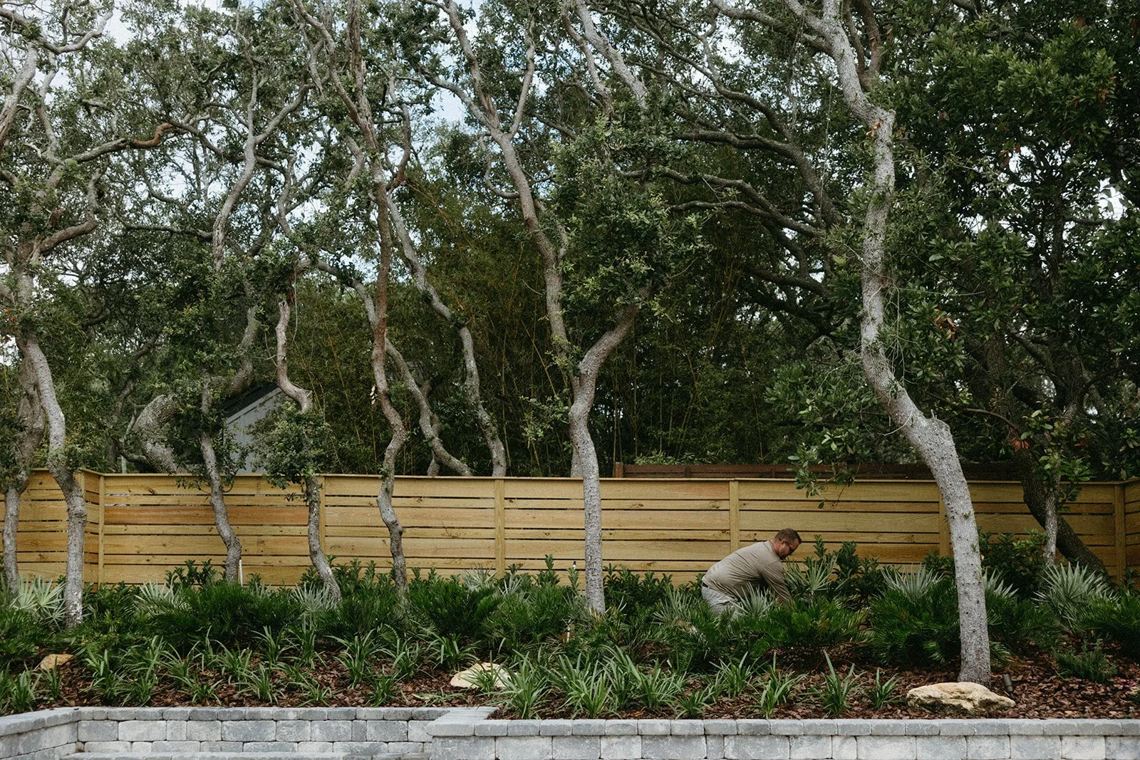 A person working in a garden with trees, shrubs, and a wooden fence in the background.