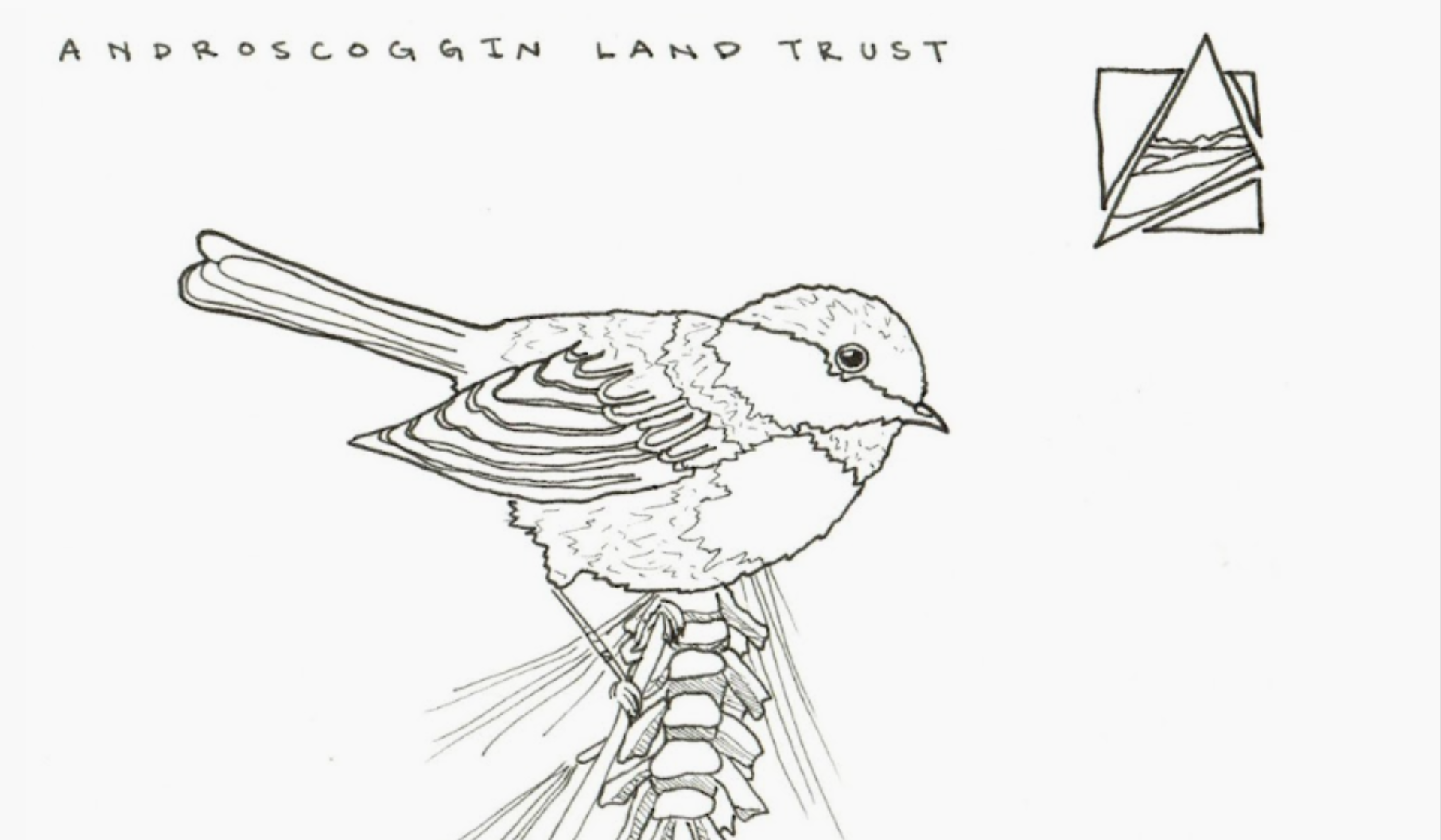 chickadee (commission: outreach material)