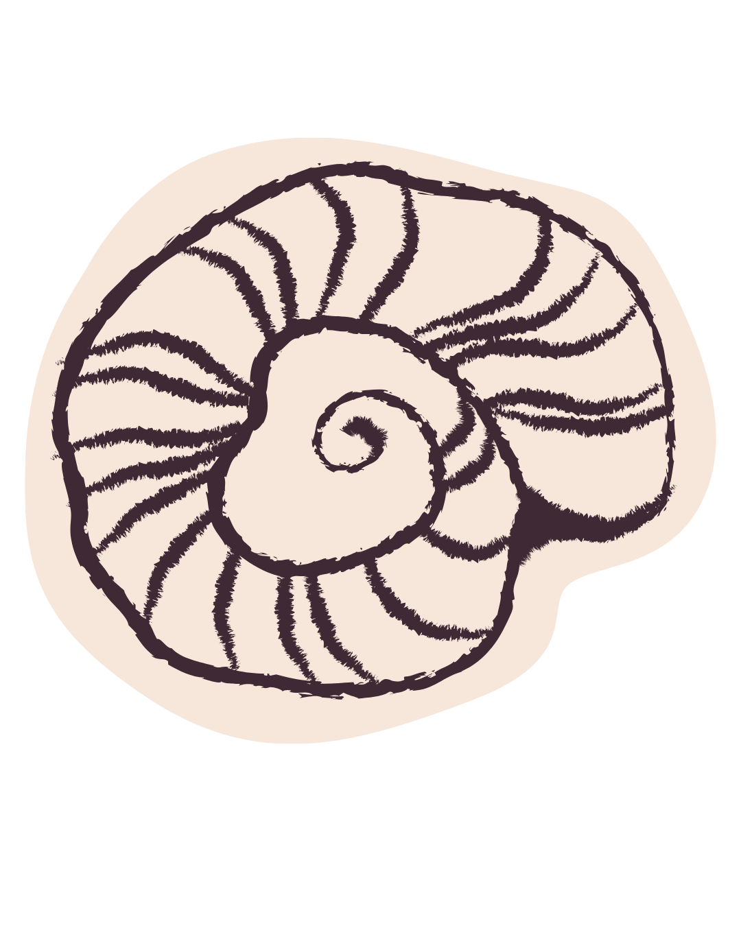 Illustration einer Nautilusmuschel in Schwarz-Weiß auf schwarzem Hintergrund.