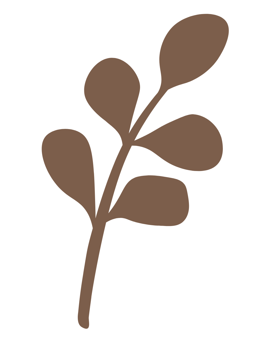 Braune, stilisierte Illustration eines Zweigs mit mehreren ovalen Blättern auf schwarzem Hintergrund.