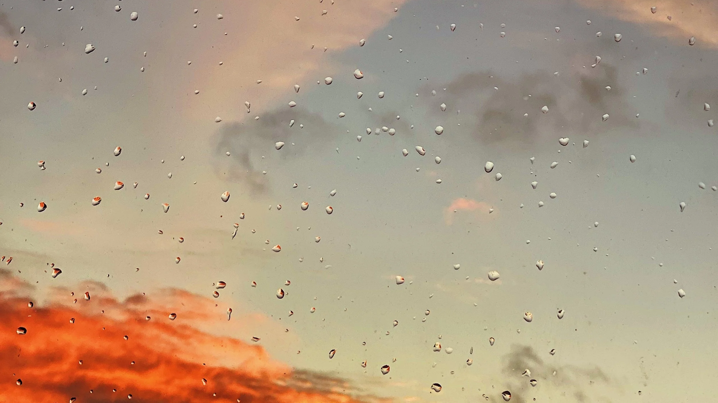 D1204281-0C43-4ADD-8B1C-CC7369BC903A.png