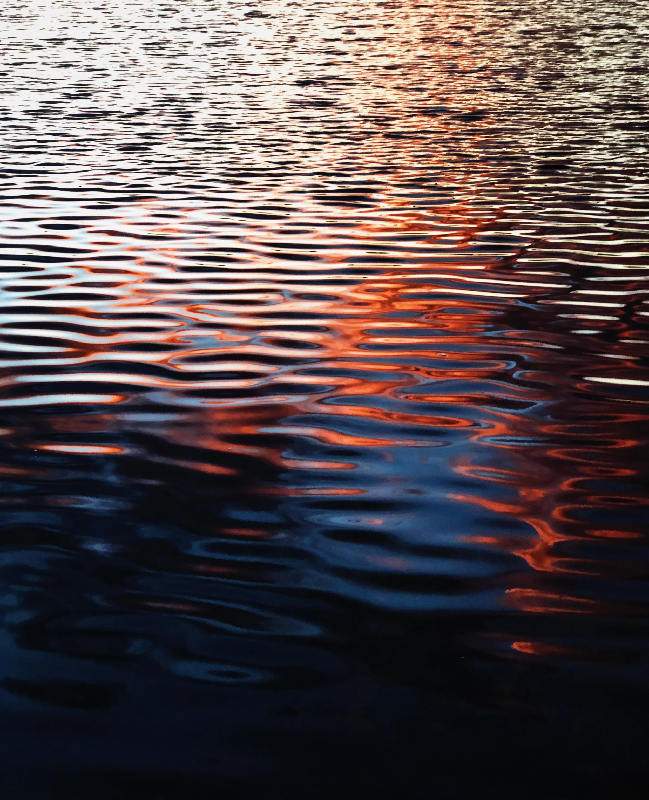 F695BD5D-18F1-451B-A02B-E94FBFAD8CE7.JPG