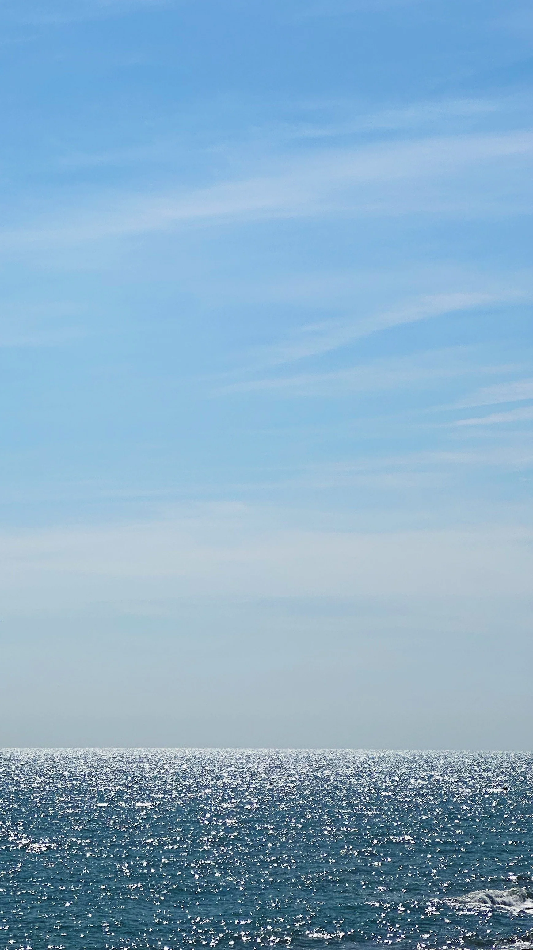 F09B69D2-1898-437C-89FD-303A74CC2F1D.JPG